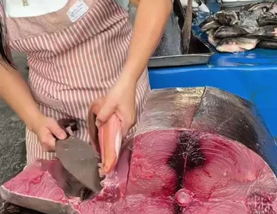 اخبار اليمن الان اسماك تبدأ أسعارها بالنزول الثمد اخبار اليمن الان الحدث اليوم عاجل