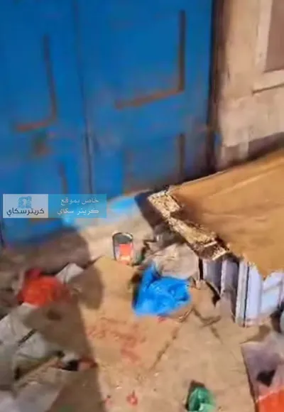 اخبار اليمن الان مشكلة التجار والعملاء مخلفات الأسماك اخبار اليمن الان الحدث اليوم عاجل