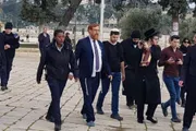 اخبار اليمن الان الحدث اليوم عاجل وكالة الصحافة اليمنية