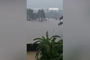 السلام نيوز اخبار اليمن الان جماعي لأكثر ثعبان بينها فيضانات اخبار اليمن الان الحدث اليوم عاجل السلام نيوز