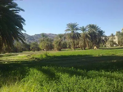 اخبار اليمن الان الأرصاد الأجواء الحارة الصحاري والسواحل اخبار اليمن الان الحدث اليوم عاجل