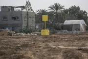 صحيفة الثورة صنعاء اخبار اليمن الان الزراعة أكثر دونم الإنتاج الأصفر اخبار اليمن الان الحدث اليوم عاجل صحيفة الثورة صنعاء