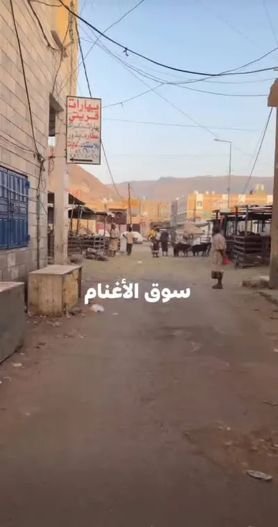 اخبار اليمن الان المخلفات ومواطنون الأغنام المحلات التجارية اخبار اليمن الان الحدث اليوم عاجل