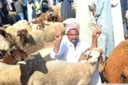اخبار اليمن الان الحدث اليوم عاجل حياه عدن الإخباري