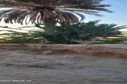اخبار اليمن الان الحدث اليوم عاجل عدن تايم