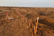 اخبار اليمن الان الحدث اليوم عاجل سبأ نيوز