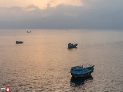 اخبار اليمن الان المحكمة العليا الأمريكية المواطنة بالولادة اخبار اليمن الان الحدث اليوم عاجل