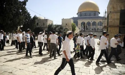 اخبار اليمن الان المستوطنون يدنسون باحات المسجد الأقصى اخبار اليمن الان الحدث اليوم عاجل