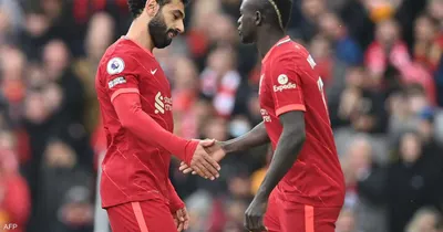 اخبار اليمن الان أخيرا يعترف بطبيعة علاقته ساديو اخبار اليمن الان الحدث اليوم عاجل