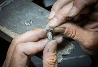 اخبار اليمن الان سوليتير arpels boucle الفخامة والبساطة اخبار اليمن الان الحدث اليوم عاجل