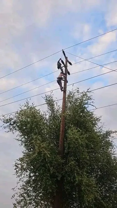 اخبار اليمن الان عمل تخريبي يستهدف خطوط الكهرباء اخبار اليمن الان الحدث اليوم عاجل