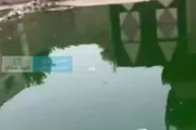كريتر إسكاي اخبار اليمن الان أسبوعين مدينة الشعب محاصرون الصرف اخبار اليمن الان الحدث اليوم عاجل كريتر إسكاي