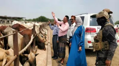 اخبار اليمن الان نيابة الصناعة بالعاصمة وتعيد تدوير اخبار اليمن الان الحدث اليوم عاجل