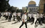 اخبار اليمن الان الحدث اليوم عاجل صحيفة الثورة صنعاء
