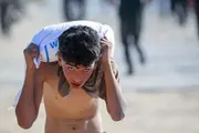 وكالة الصحافة اليمنية اخبار اليمن الان جمعية المخابز توزيع عائلة الأسبوع اخبار اليمن الان الحدث اليوم عاجل وكالة الصحافة اليمنية
