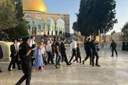 صحيفة الثورة صنعاء اخبار اليمن الان عدد330 مستوطنا صهيونيا يقتحمون المسجد اخبار اليمن الان الحدث اليوم عاجل صحيفة الثورة صنعاء