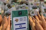 وكالة الصحافة اليمنية اخبار اليمن الان هيومن رايتس المستوطنات التزام قانوني اخبار اليمن الان الحدث اليوم عاجل وكالة الصحافة اليمنية