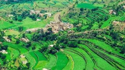 اخبار اليمن الان وفاة بحادث اختناق العمل الخطرة اخبار اليمن الان الحدث اليوم عاجل