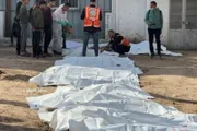 وكالة الصحافة اليمنية اخبار اليمن الان عدد10 شهداء إصابة برصاص الاحتلال اخبار اليمن الان الحدث اليوم عاجل وكالة الصحافة اليمنية
