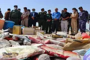 اخبار اليمن الان الحدث اليوم عاجل صدى الساحل