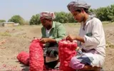 عدن تايم اخبار اليمن الان ميناء المخا يستعيد تألقه الأحمر اخبار اليمن الان الحدث اليوم عاجل عدن تايم