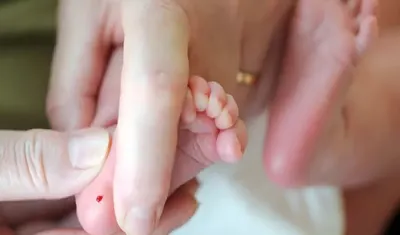 اخبار اليمن الان استشاري المبكر الولادة الأطفال سنواتهم اخبار اليمن الان الحدث اليوم عاجل