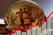 عرب تايم اخبار اليمن الان استقرار بيتكوين قرار الفيدرالي الفائدة اخبار اليمن الان الحدث اليوم عاجل عرب تايم