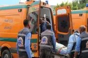 صحيفة المرصد اخبار اليمن الان والدته ويسلم للشرطة واقعة مأساوية اخبار اليمن الان الحدث اليوم عاجل صحيفة المرصد