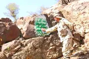 صحيفة المرصد اخبار اليمن الان أهمية القوات المشتركة الشهداء الحاكم اخبار اليمن الان الحدث اليوم عاجل صحيفة المرصد