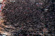 صحيفة المرصد اخبار اليمن الان الصور الأولية لمليونية الأمني العروض اخبار اليمن الان الحدث اليوم عاجل صحيفة المرصد