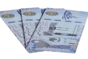 صحيفة المرصد اخبار اليمن الان القطيبي يعلن بالعملة السعودية القوة اخبار اليمن الان الحدث اليوم عاجل صحيفة المرصد