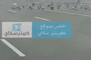 كريتر إسكاي اخبار اليمن الان أسراب الحمام شوارع تراجع الغربان اخبار اليمن الان الحدث اليوم عاجل كريتر إسكاي
