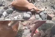 وكالة 2 ديسمبر اخبار اليمن الان مليشيا الحوثي تستهدف بالسكان الوازعية اخبار اليمن الان الحدث اليوم عاجل وكالة 2 ديسمبر