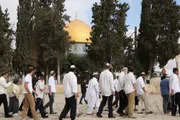 اخبار اليمن الان الحدث اليوم عاجل وكالة الصحافة اليمنية