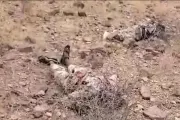 وكالة 2 ديسمبر اخبار اليمن الان جثامين مليشيا الحوثي متروكة وانتشالها اخبار اليمن الان الحدث اليوم عاجل وكالة 2 ديسمبر