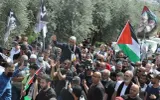 وكالة الصحافة اليمنية اخبار اليمن الان مستمرون السجون الإسرائيلية الأسرى الفلسطينيين اخبار اليمن الان الحدث اليوم عاجل وكالة الصحافة اليمنية