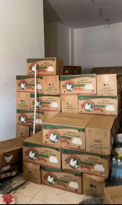 اخبار اليمن الان صحفي أزمة تضرب وجود دجاجة اخبار اليمن الان الحدث اليوم عاجل