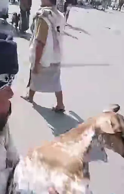 اخبار اليمن الان شاب يعلن بيع اغنام وارسالها اخبار اليمن الان الحدث اليوم عاجل