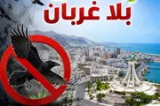 اخبار اليمن الان الحدث اليوم عاجل عرب تايم