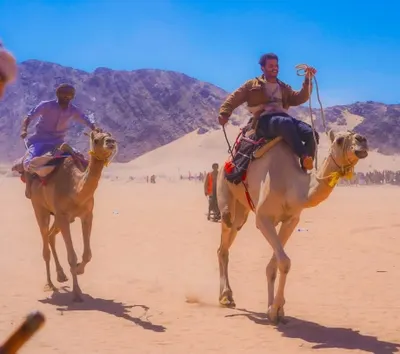 اخبار اليمن الان اختتام لمهرجان لسباقات وتتويج المطهري اخبار اليمن الان الحدث اليوم عاجل