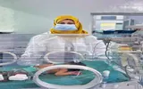 اخبار اليمن الان الحدث اليوم عاجل عدن تايم