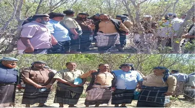 اخبار اليمن الان أهالي ذمثبة يتنازلون زراعية لحماية اخبار اليمن الان الحدث اليوم عاجل