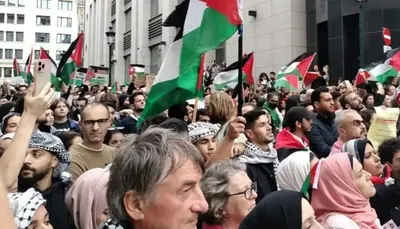 اخبار اليمن الان لإدانة الاحتلال الإسرائيلي متظاهر بروكسل اخبار اليمن الان الحدث اليوم عاجل