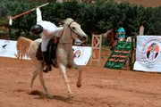 وكالة الصحافة اليمنية اخبار اليمن الان اتحاد التقاط الأوتاد الشهيد الغماري اخبار اليمن الان الحدث اليوم عاجل وكالة الصحافة اليمنية