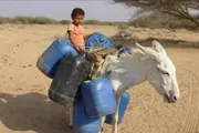 اخبار اليمن الان الحدث اليوم عاجل عرب تايم
