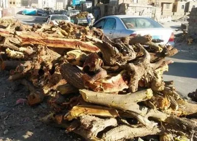 اخبار اليمن الان الصيف عدنية الحطب اختفاء الغاز اخبار اليمن الان الحدث اليوم عاجل