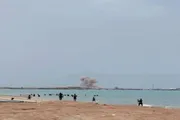 صدى الساحل اخبار اليمن الان الحديدة بصاروخ باليستي استهدف بالخوخة اخبار اليمن الان الحدث اليوم عاجل صدى الساحل