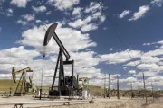 اخبار اليمن الان الحدث اليوم عاجل مارب اليوم
