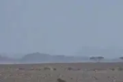كريتر إسكاي اخبار اليمن الان القوات الحكومية سيطرة الحوثيين مواقعها اخبار اليمن الان الحدث اليوم عاجل كريتر إسكاي