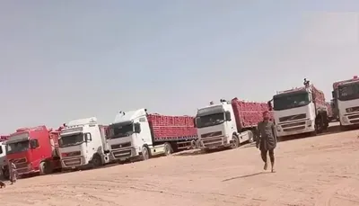 اخبار اليمن الان الاتحاد التعاوني الإجراءات الصادرات الزراعية اخبار اليمن الان الحدث اليوم عاجل